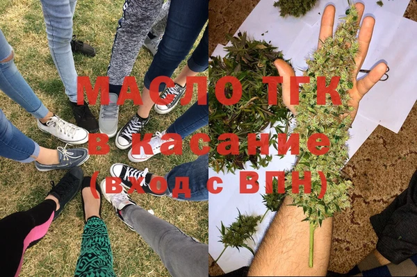 трава Наволоки