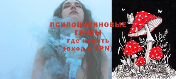 таблы Надым