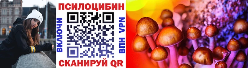 купить закладку  Алзамай  Псилоцибиновые грибы ЛСД 