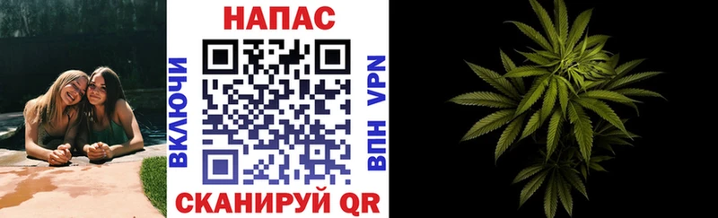 Конопля план Алзамай